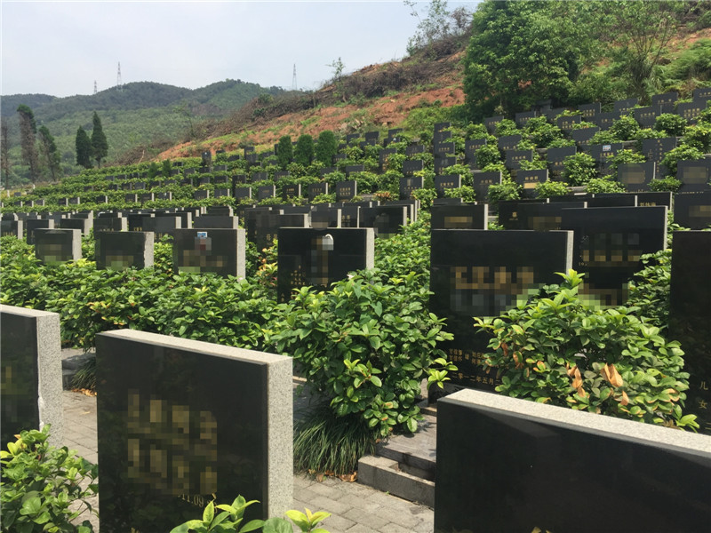 重庆市龙台山陵园--龙台山陵园|重庆市龙台山陵园|龙台山公墓|重庆