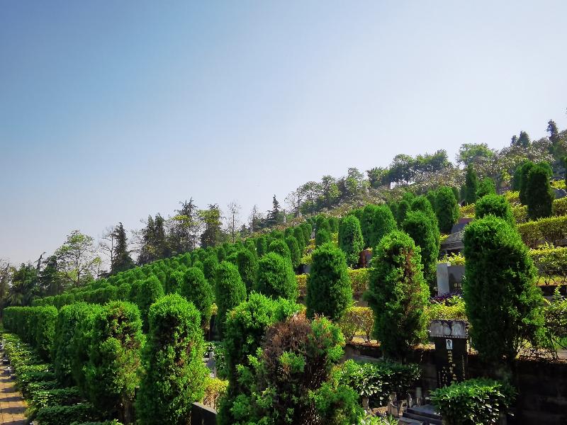 重庆市龙台山陵园--龙台山陵园|重庆市龙台山陵园|龙台山公墓|重庆