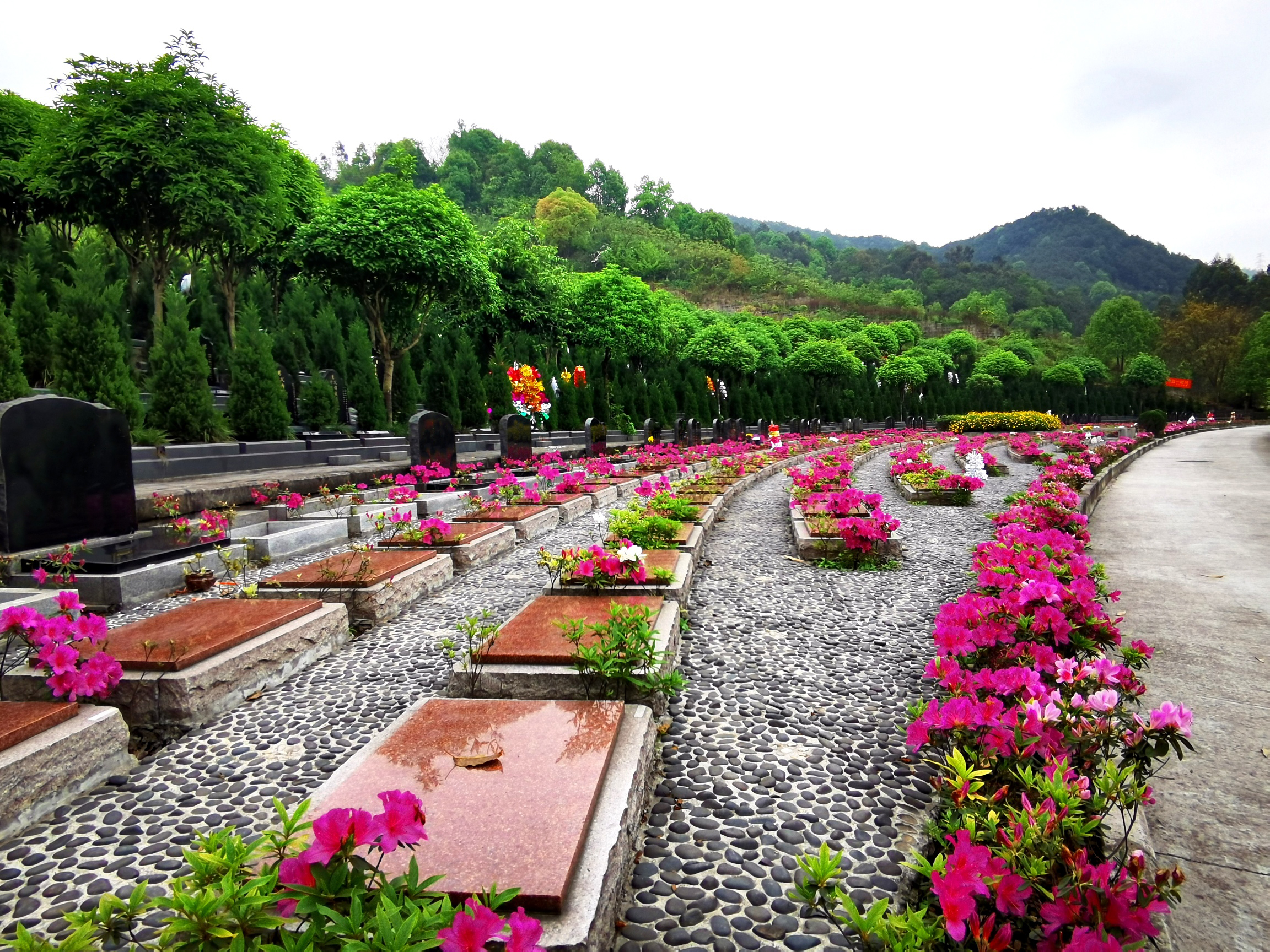 龙台山公墓重庆公墓图片